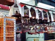 hongkong2004ﾏ￣ﾊCﾊXﾂP