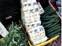 ﾍﾁﾍ`2004ﾎsﾏ￪ﾂQ