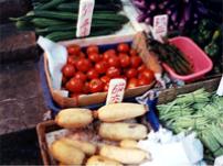 ﾍﾁﾍ`2004ﾎsﾏ￪ﾂR