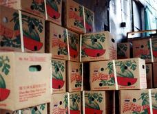 hongkong2004_ﾏ￣ﾊCﾊXﾂR