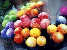 hongkong2004_ﾏ￣ﾊCﾊXﾂQ