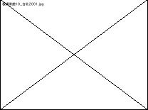 ﾈ￭ﾊ]ﾉﾀﾏﾑﾍﾁﾒﾃﾖV3_ﾑ￤ﾘp2001