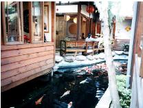 ﾈ￭ﾊ]ﾉﾀﾏﾑﾍﾁﾒﾃﾖV4_ﾑ￤ﾘp2001